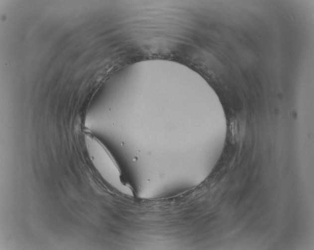 X0000062910963200602101828