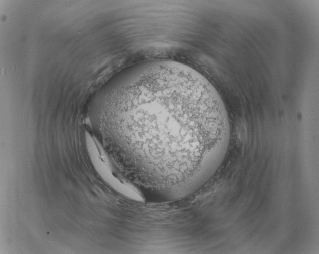 X0000062910964200602101828