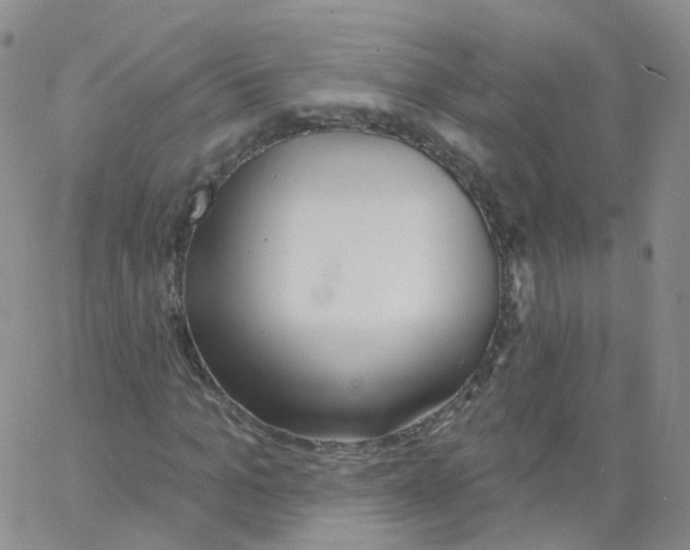 X0000062910965200602101828