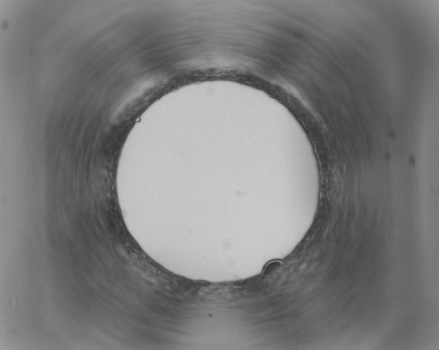 X0000062910967200602101828