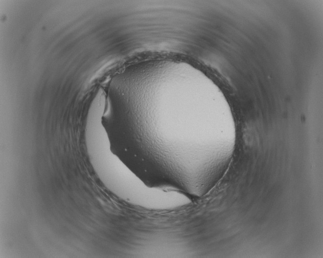 X0000062910968200602101828