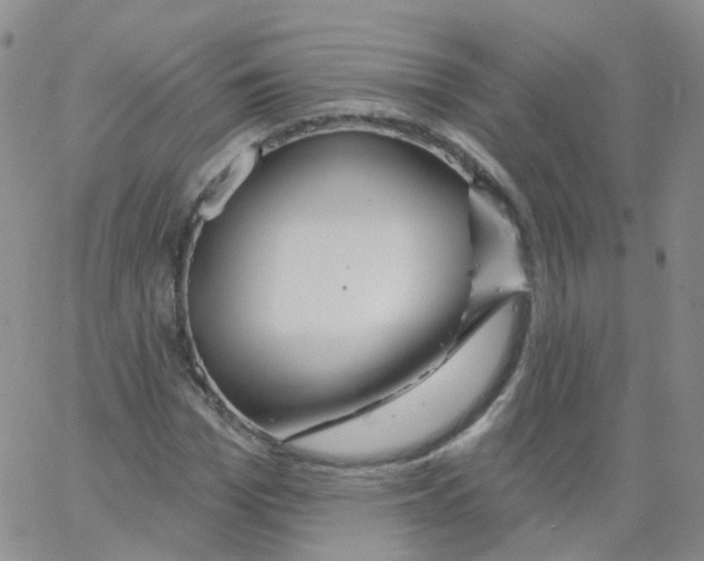 X0000062910969200602101828