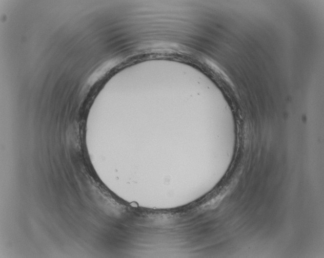 X0000062910970200602101828