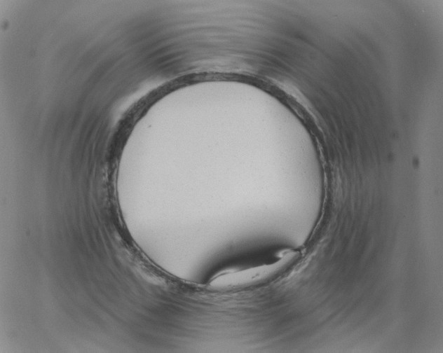 X0000062910971200602101828