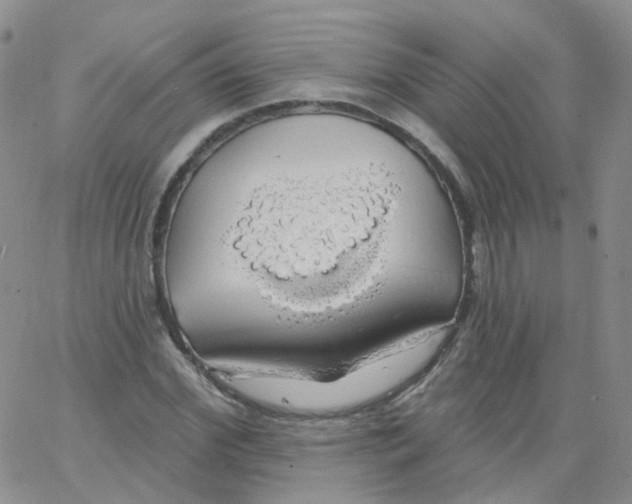 X0000062910972200602101828