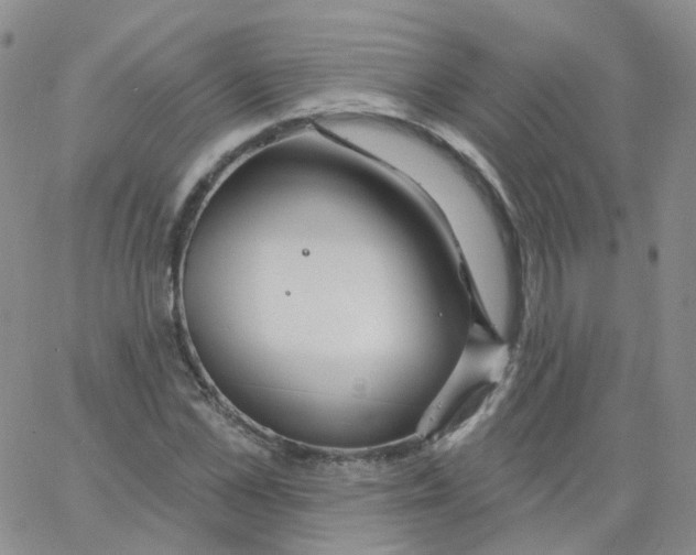 X0000062910973200602101828