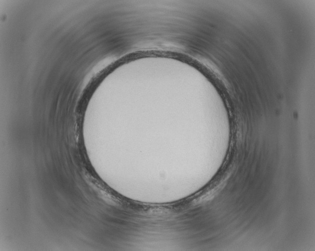 X0000062910974200602101828