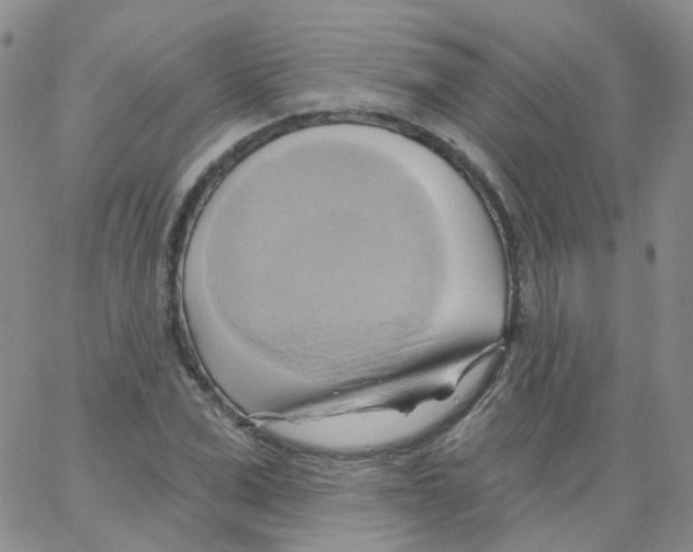 X0000062910975200602101828