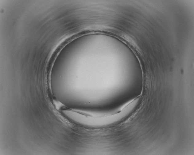 X0000062910976200602101828