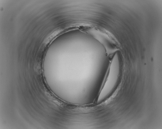 X0000062910977200602101828