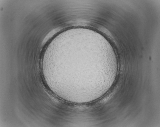 X0000062910978200602101828