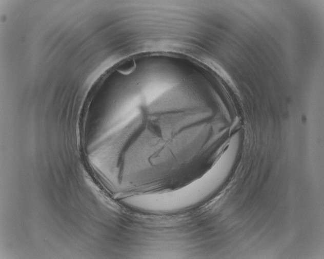 X0000062910980200602101828