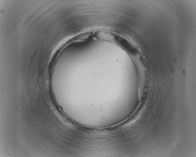 X0000062910981200602101828