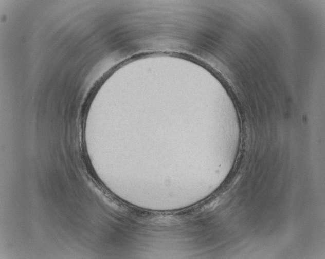 X0000062910982200602101828