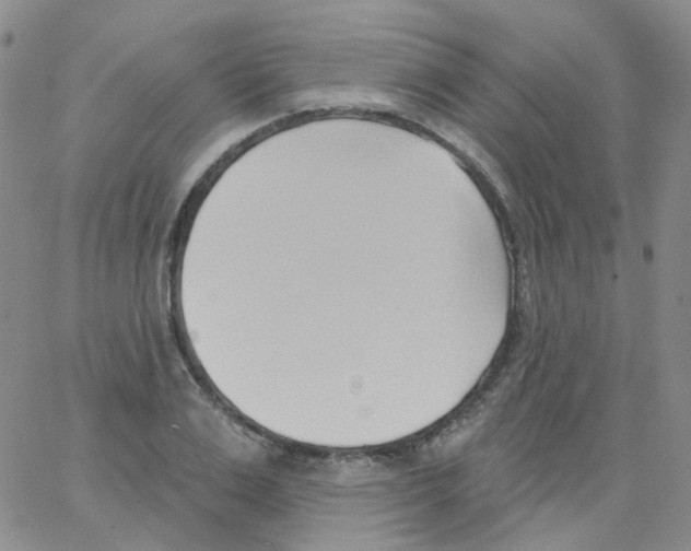 X0000062910983200602101828