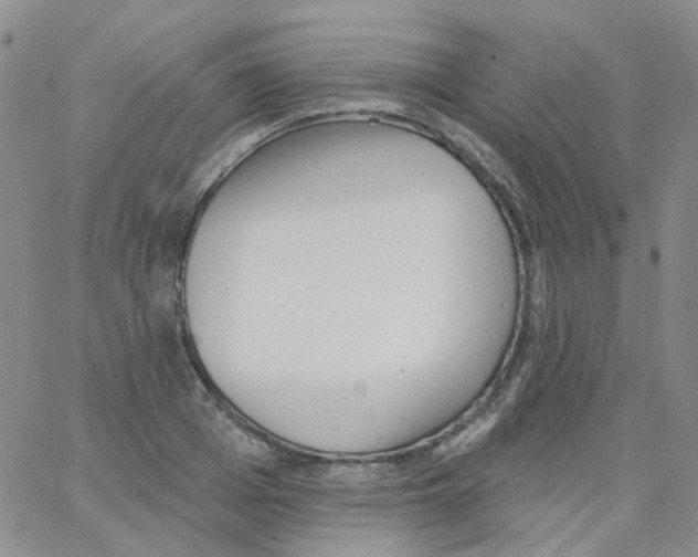 X0000062910985200602101827