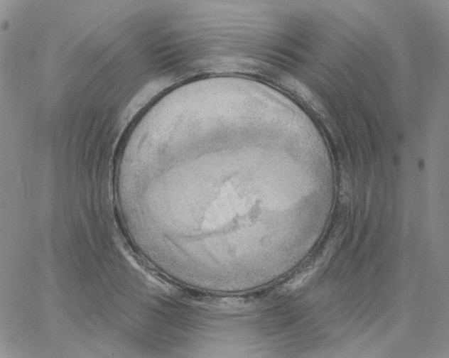 X0000062910986200602101827