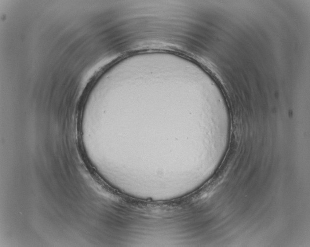 X0000062910987200602101827