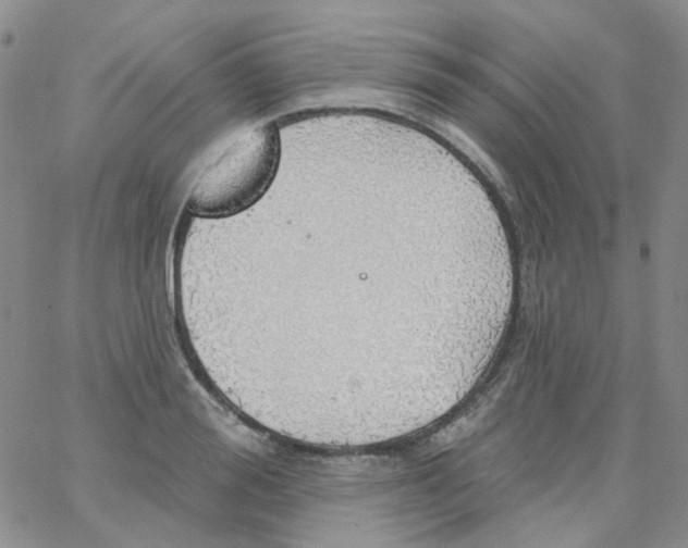 X0000062910988200602101827