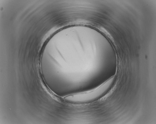 X0000062910989200602101827