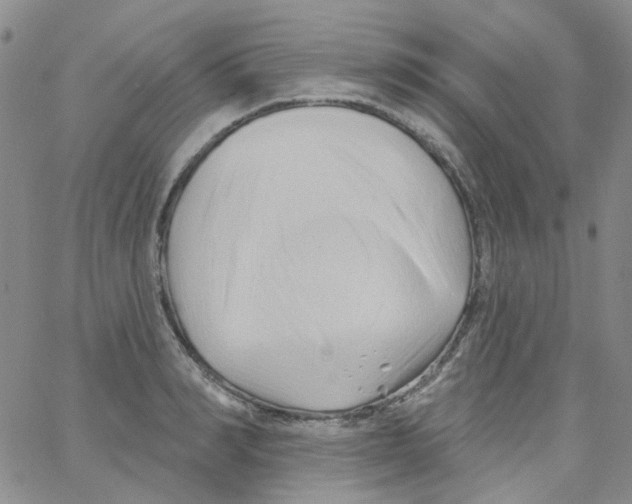 X0000062910990200602101827