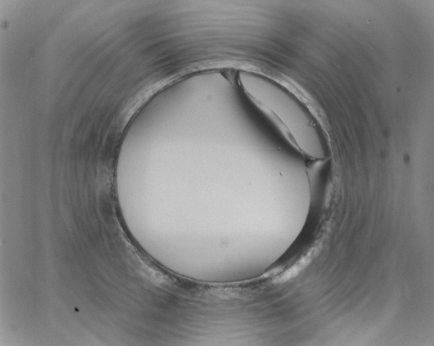 X0000062910993200602101827