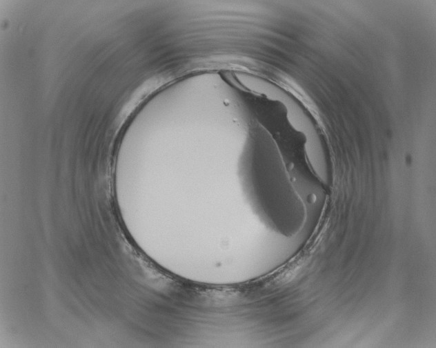 X0000062910994200602101827