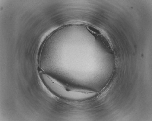 X0000062910995200602101827