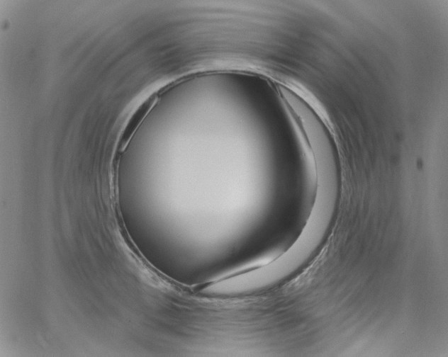 X0000062910996200602101827