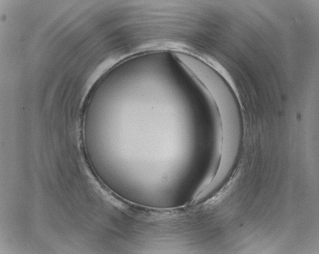 X0000062910997200602101827