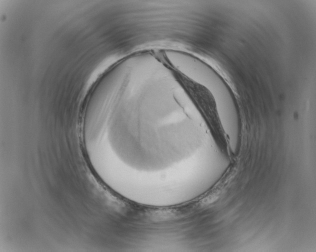 X0000062910998200602101827