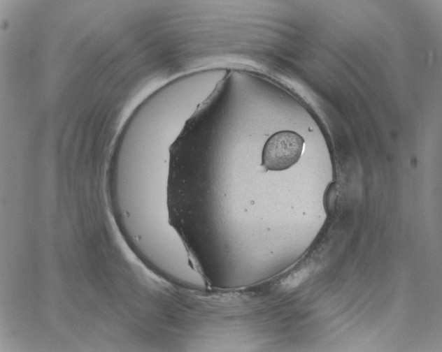 X0000062910999200602101827