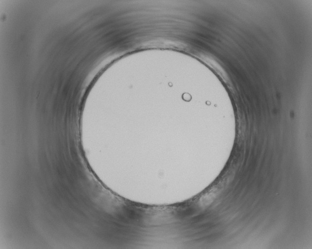 X0000062911000200602101827