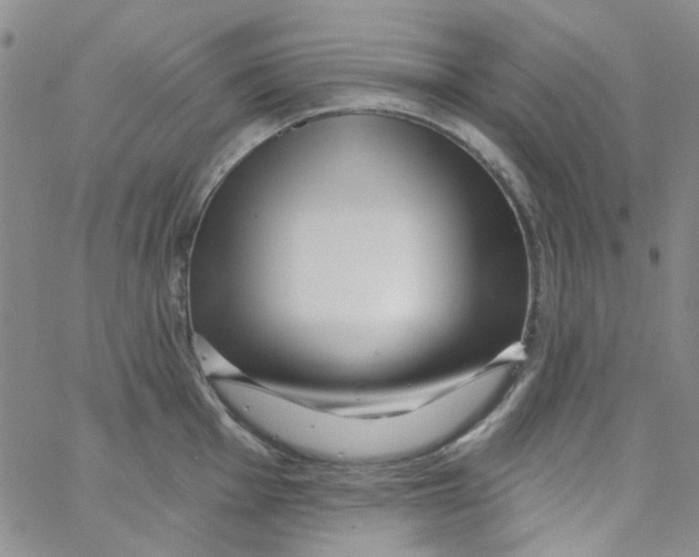 X0000062911001200602101827