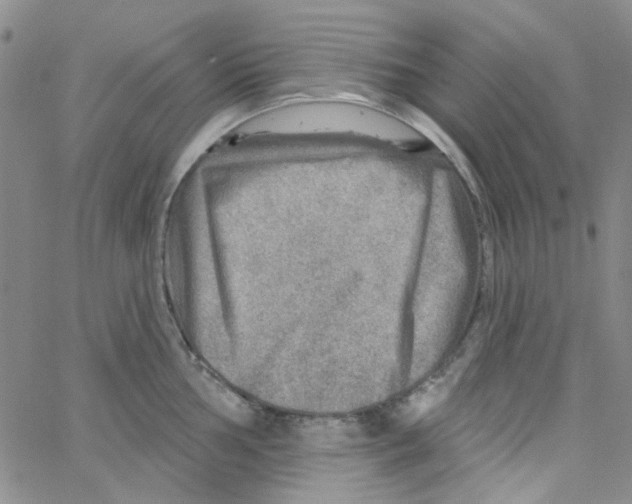 X0000062911002200602101827