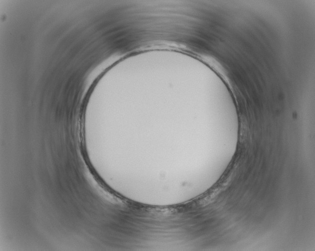 X0000062911003200602101827