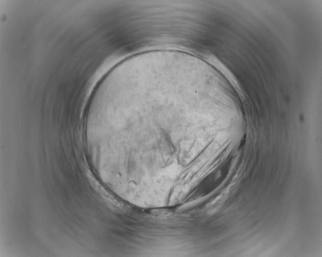 X0000062911004200602101827