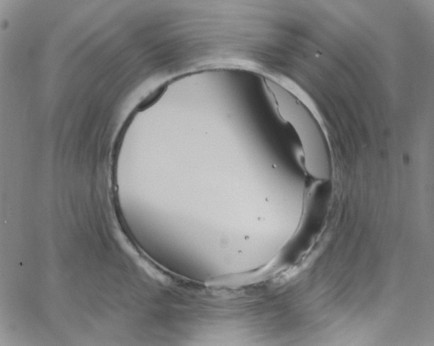 X0000062911005200602101827