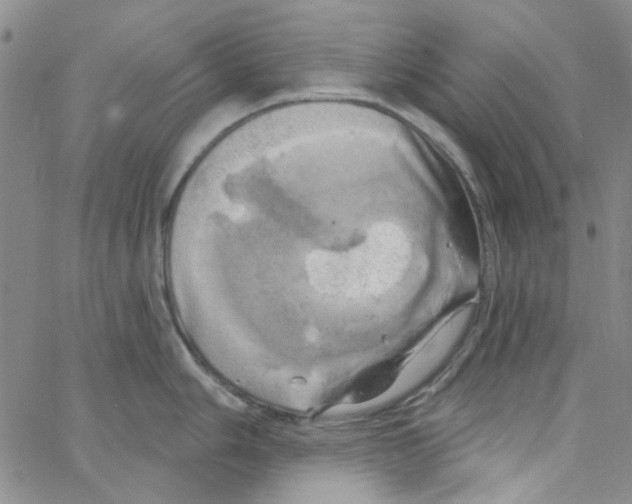 X0000062911006200602101827