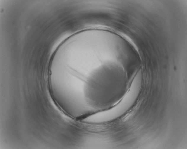 X0000062911007200602101827