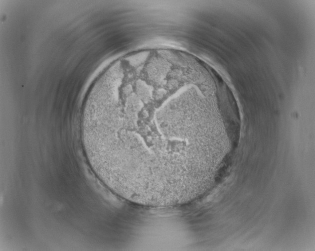 X0000062911008200602101827