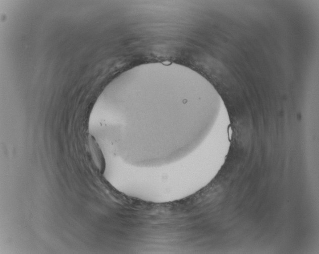 X0000062911009200602101826