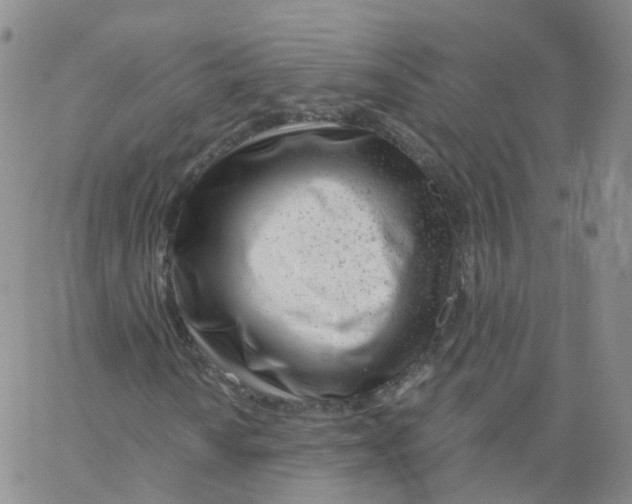 X0000062911010200602101826