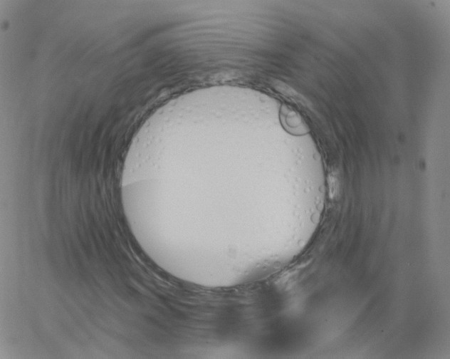 X0000062911011200602101826