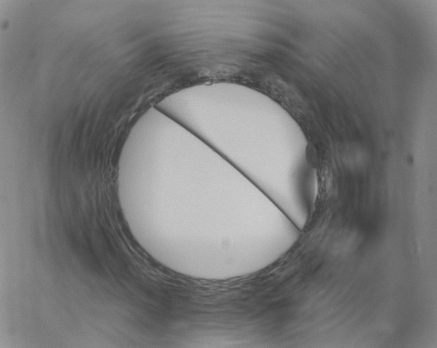 X0000062911012200602101826