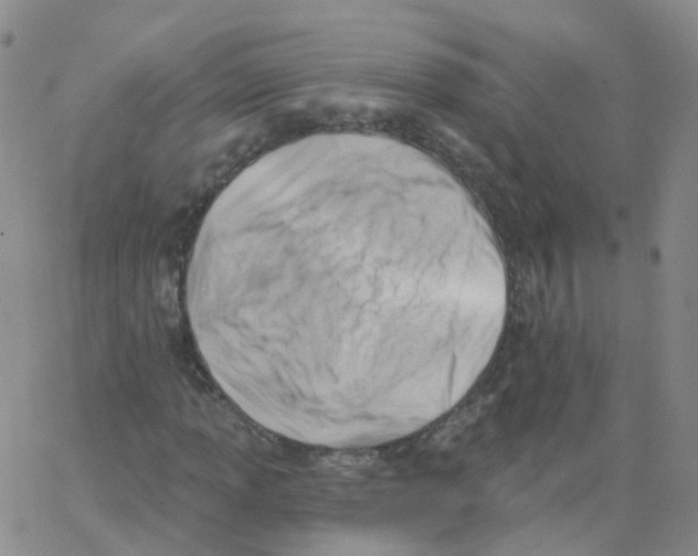 X0000062911013200602101826