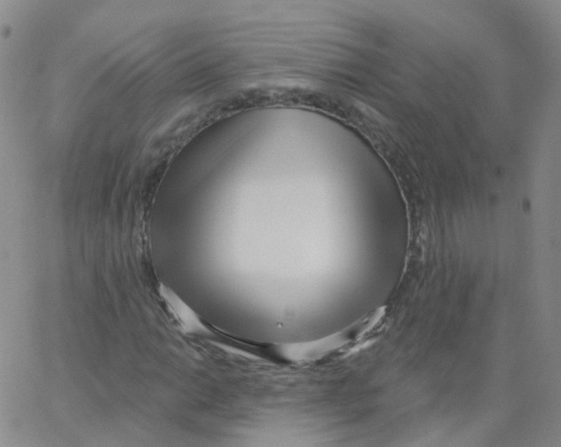 X0000062911014200602101826