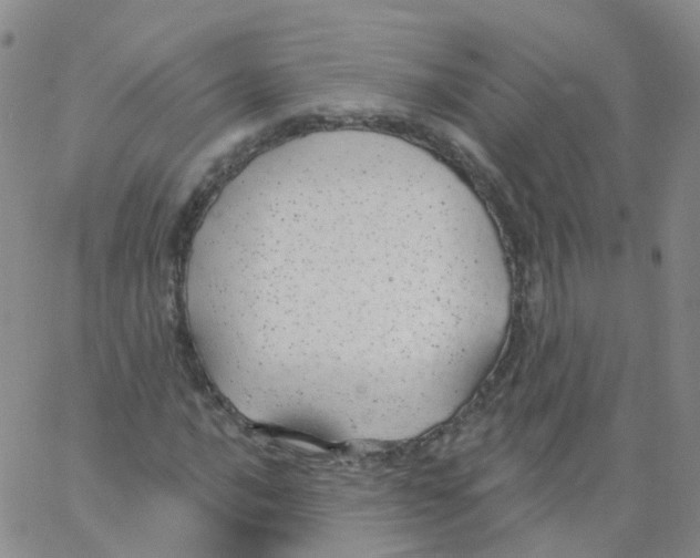 X0000062911016200602101826