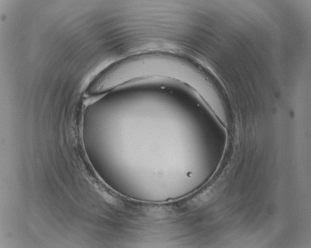 X0000062911018200602101826