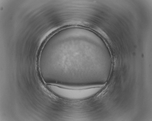 X0000062911020200602101827